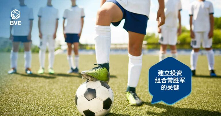 作品十六：从BIS中悟出股票投资百态