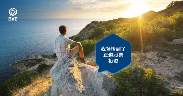 作品十八：BVE给了我的不一样的股票投资体验