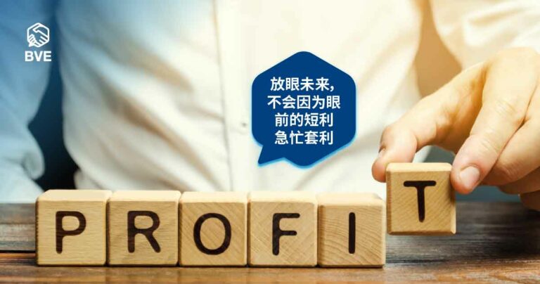 作品五十一：BVE商业情报让我的投资组合扭亏为盈