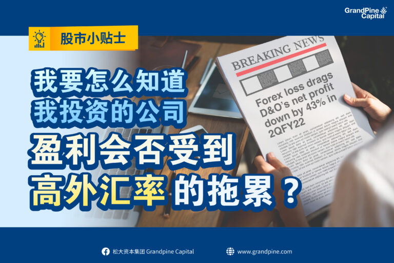 股市小贴士 – 我要怎么知道我投资的公司，盈利会否受到高外汇率的拖累？